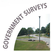 Government Surveys